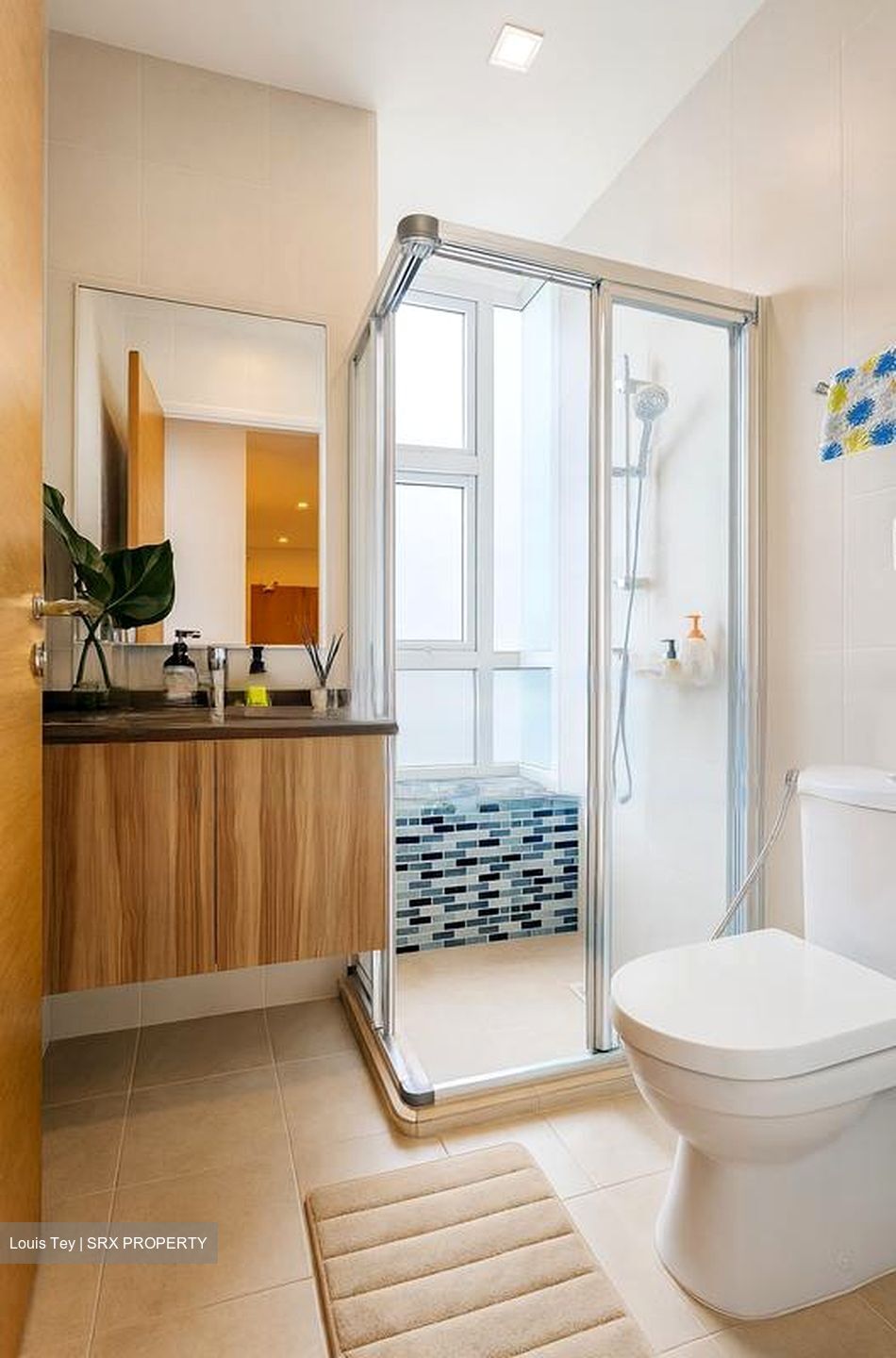 The Sunnidora (D15), Apartment #481283351